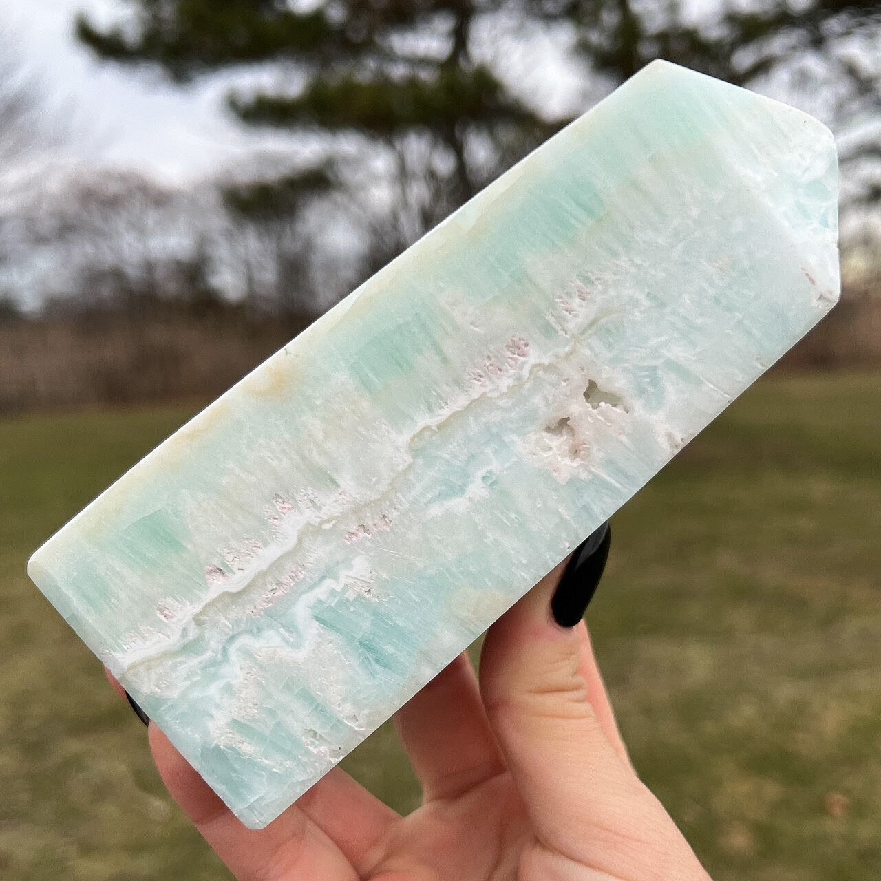 Large Caribbean Calcite Tower