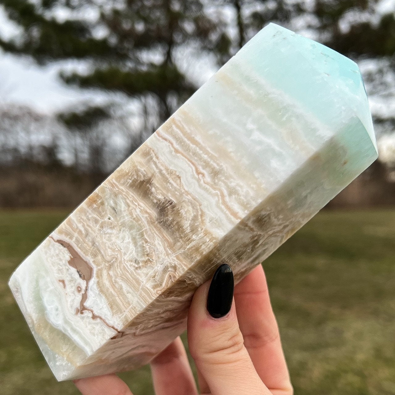 Large Caribbean Calcite Tower