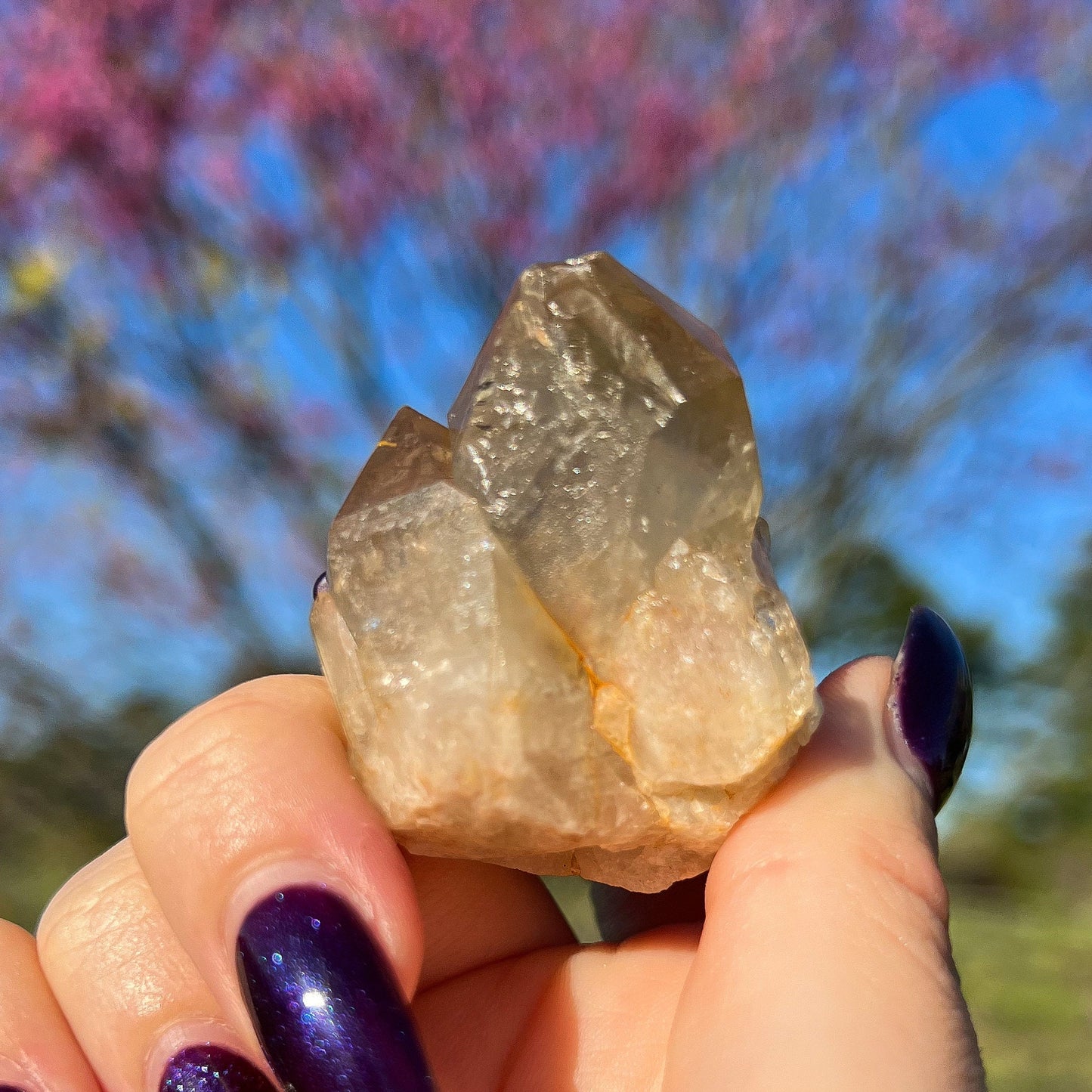 Elestial Congo Citrine Cluster