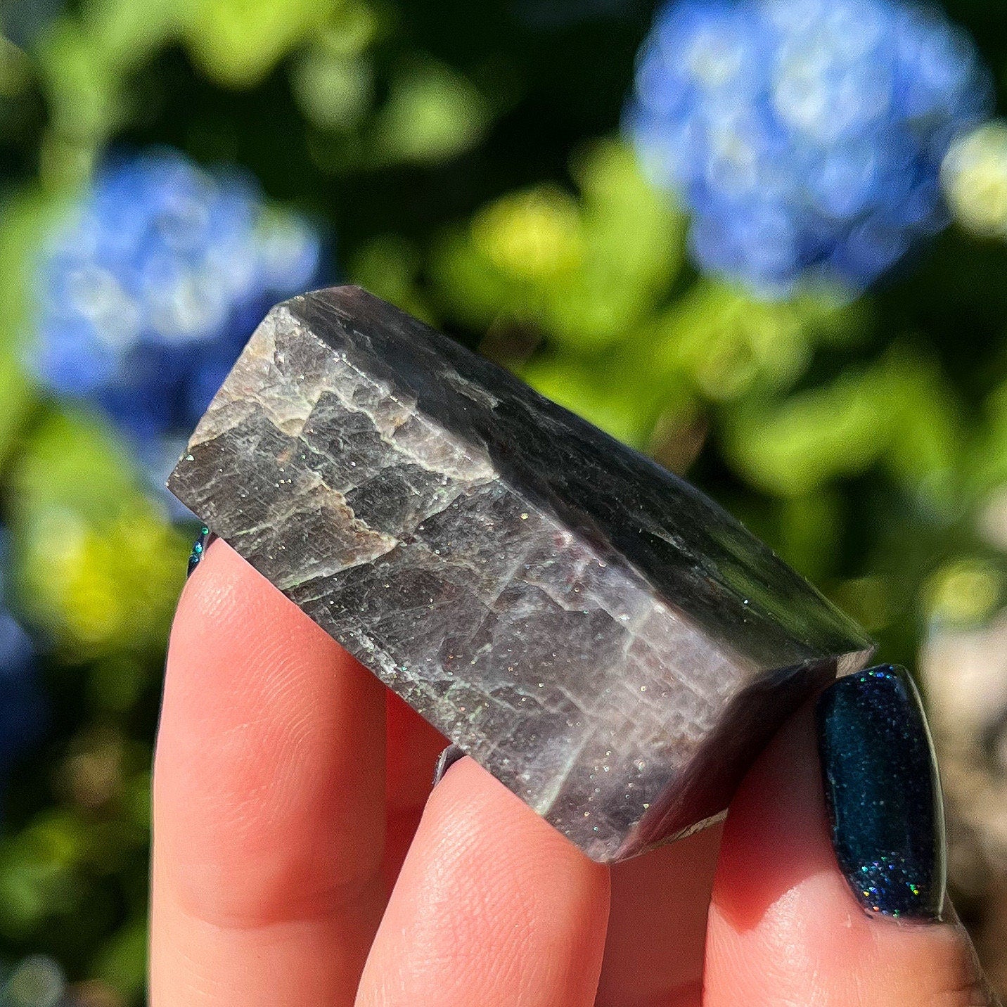 Bloodshot Iolite Freeform
