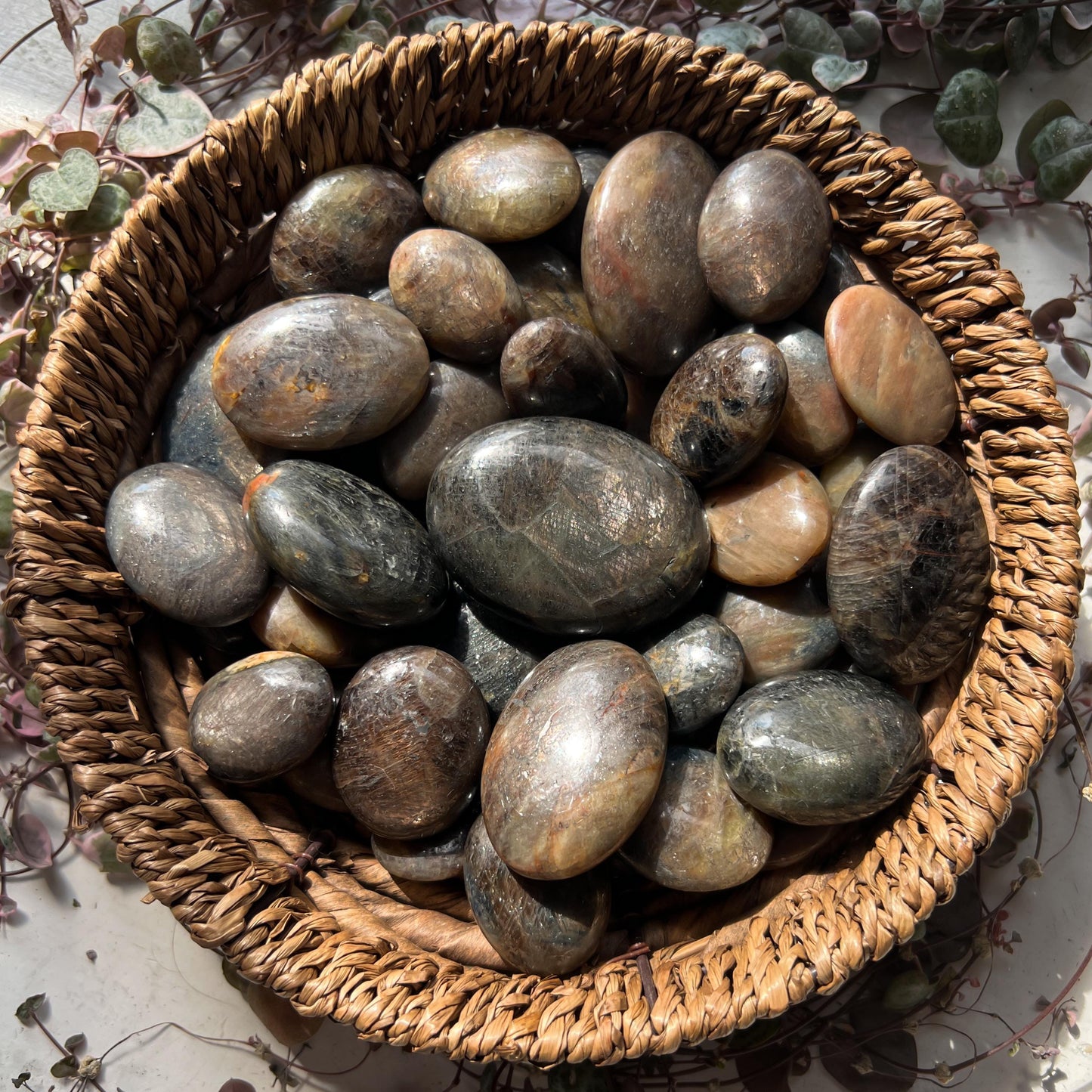 Bronze Sapphire Stones