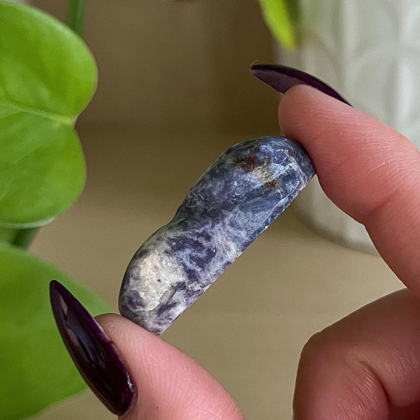 Enchanted Euphoralite Alien