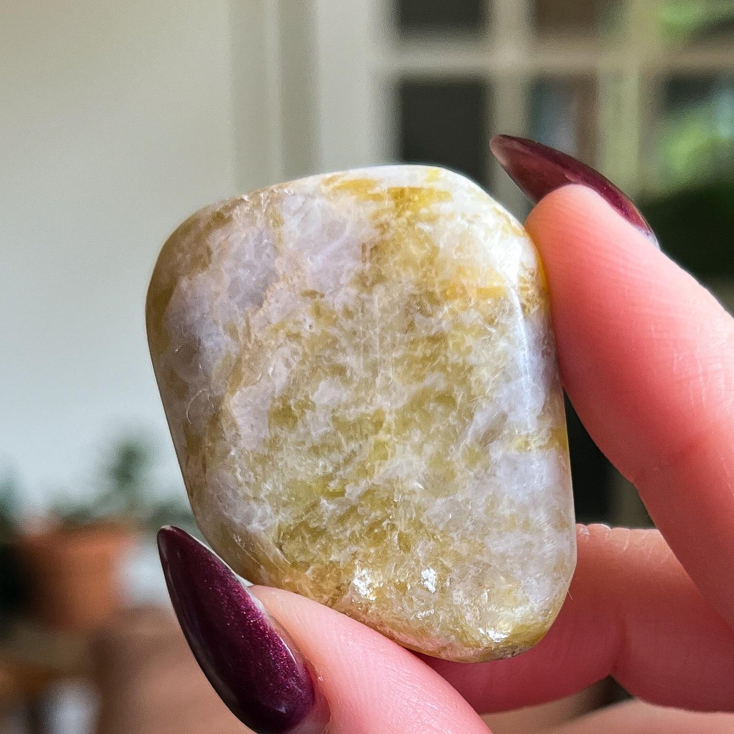 Rare Golden Euphoralite Palm Stone