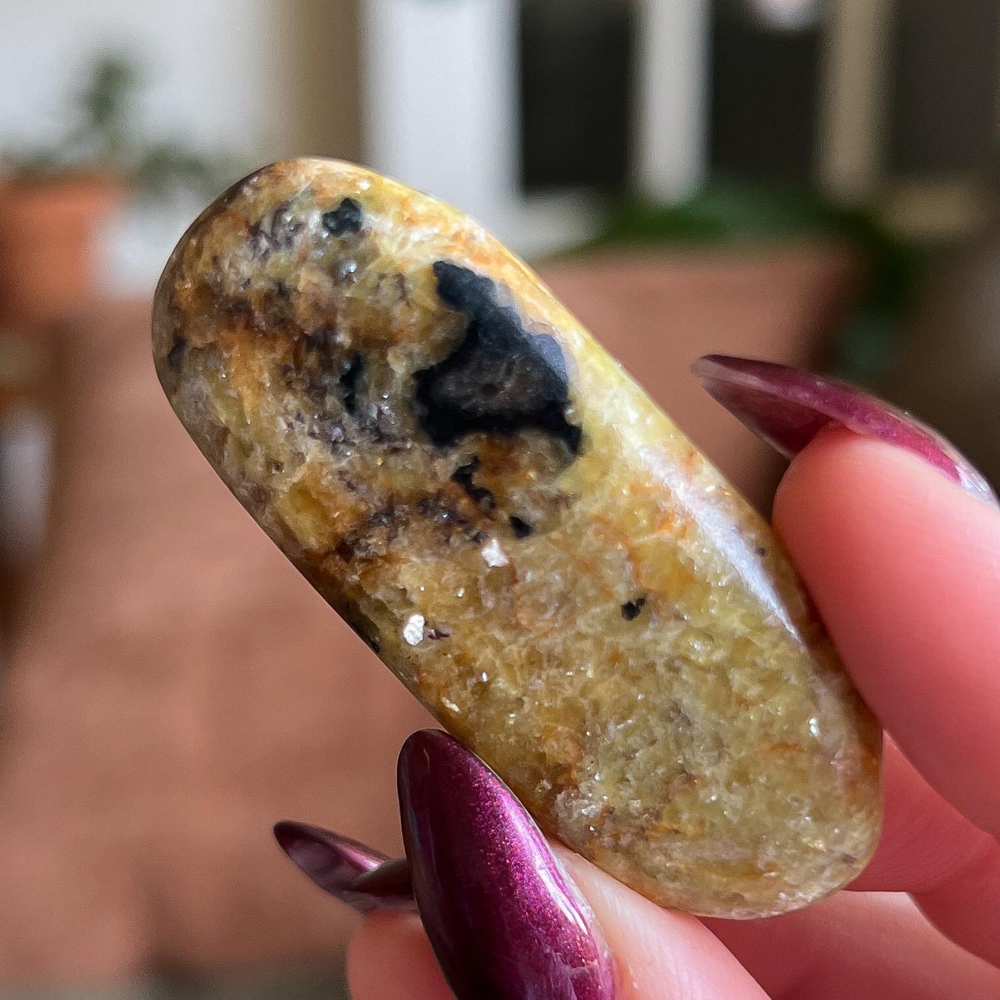 Pangea Euphoralite Palm Stone