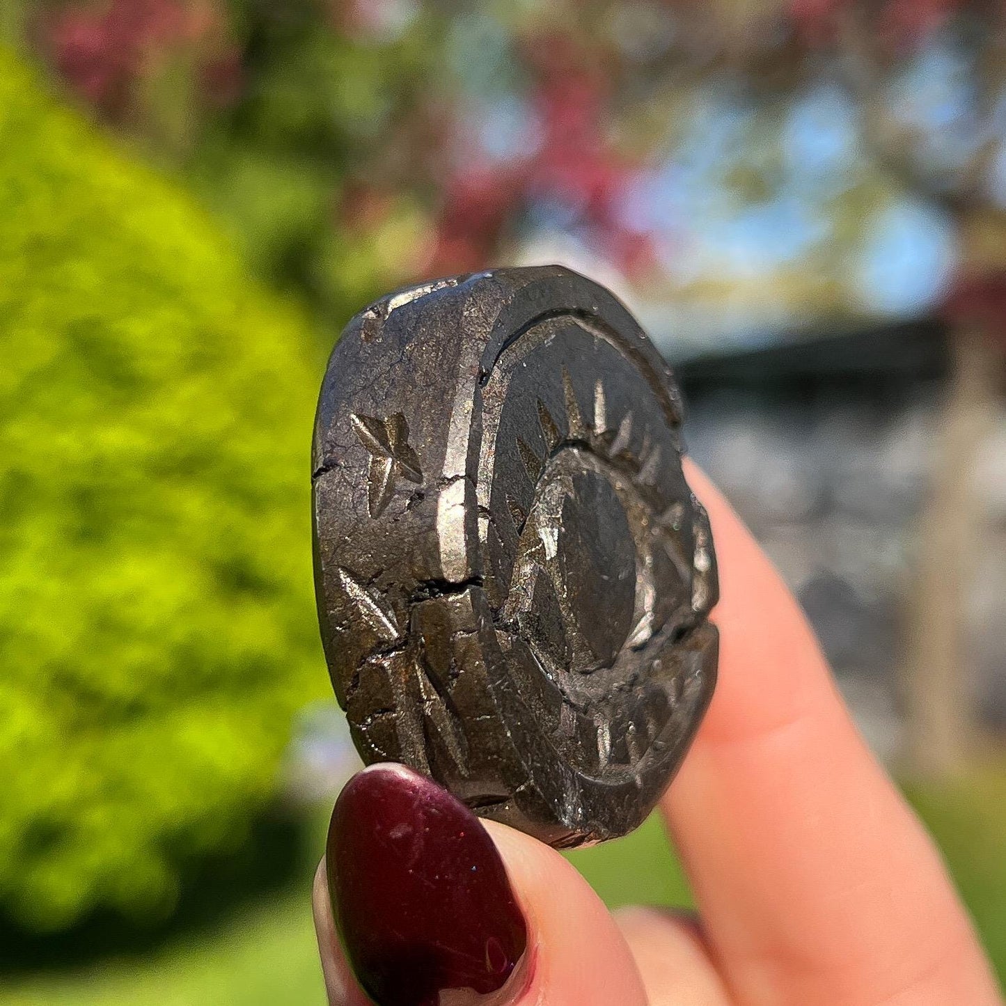 Alienite Euphoralite Coin from South Dakota