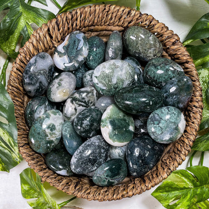 Moss Agate Tumbles
