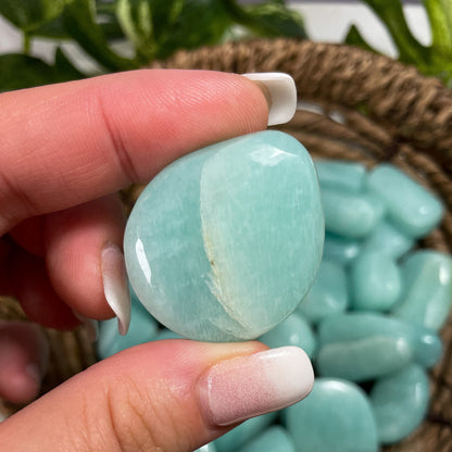 Gem Grade Amazonite Tumbles