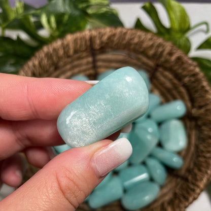 Gem Grade Amazonite Tumbles