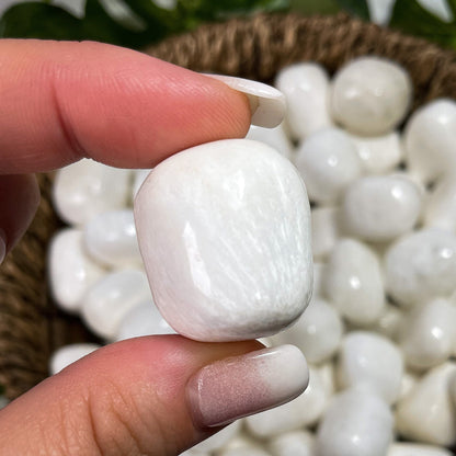 Scolecite Tumbles