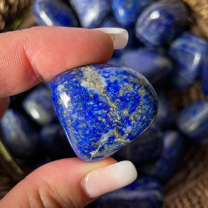 Lapis Lazuli Tumbles
