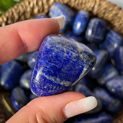 Lapis Lazuli Tumbles