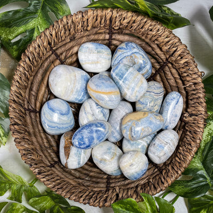 Chunky Blue Scheelite Tumbles
