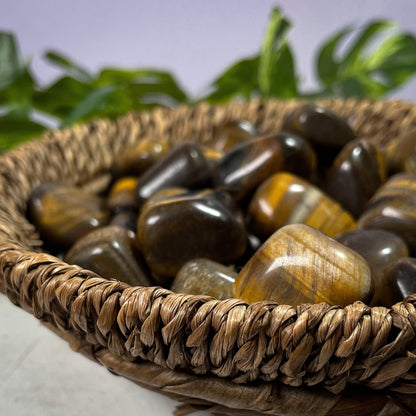 Tigers Eye Tumbles