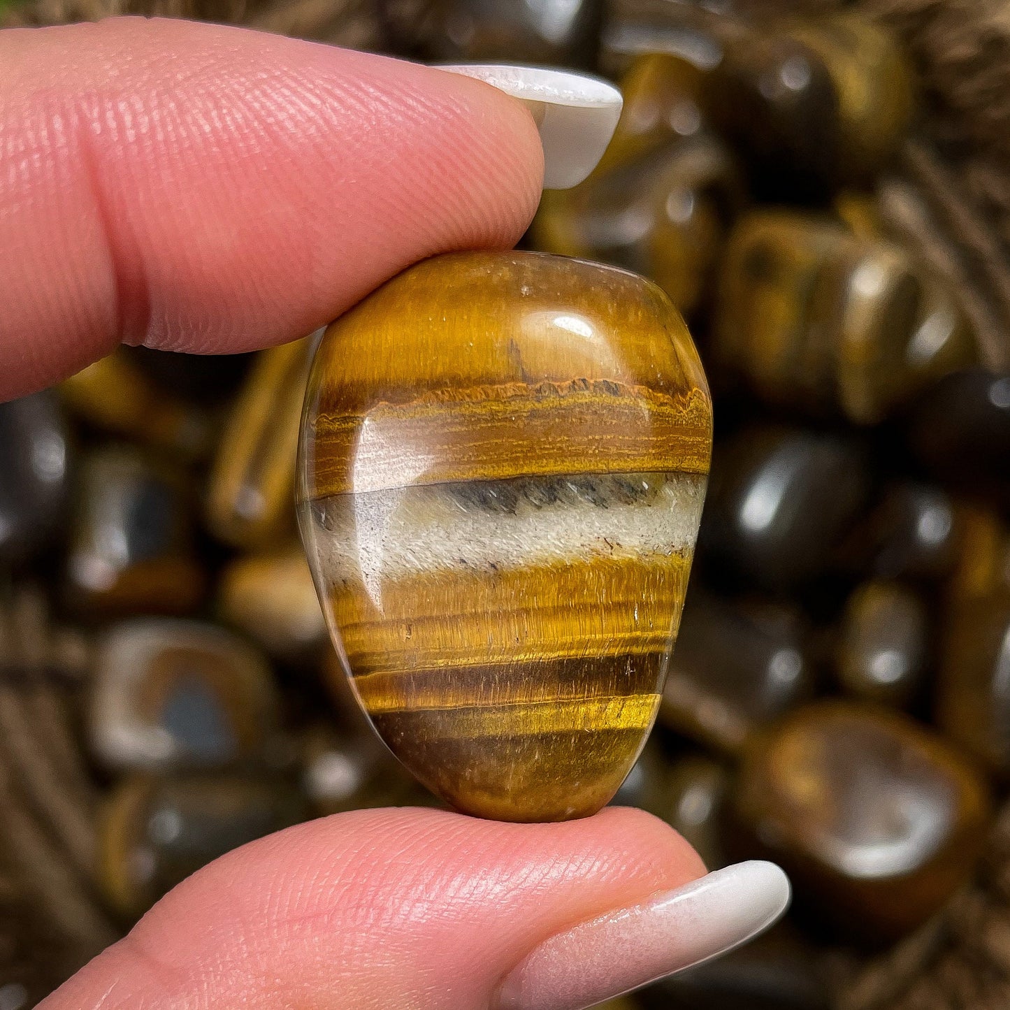 Tigers Eye Tumbles