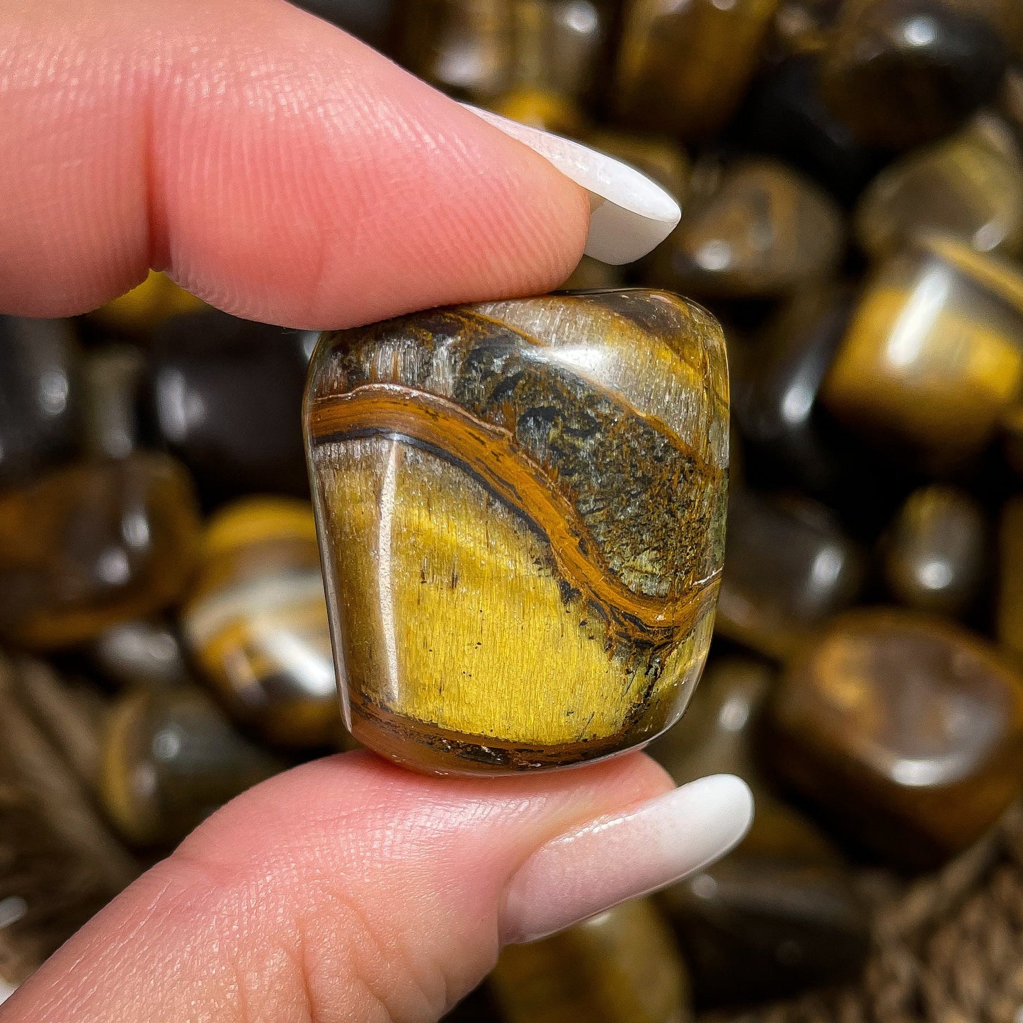 Tigers Eye Tumbles