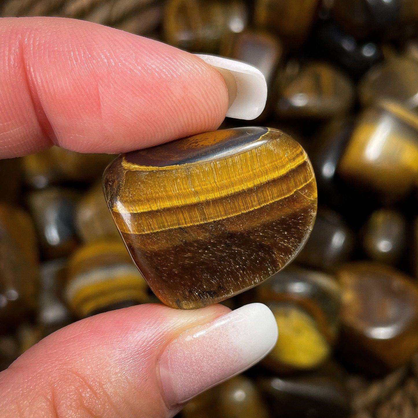 Tigers Eye Tumbles