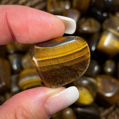 Tigers Eye Tumbles