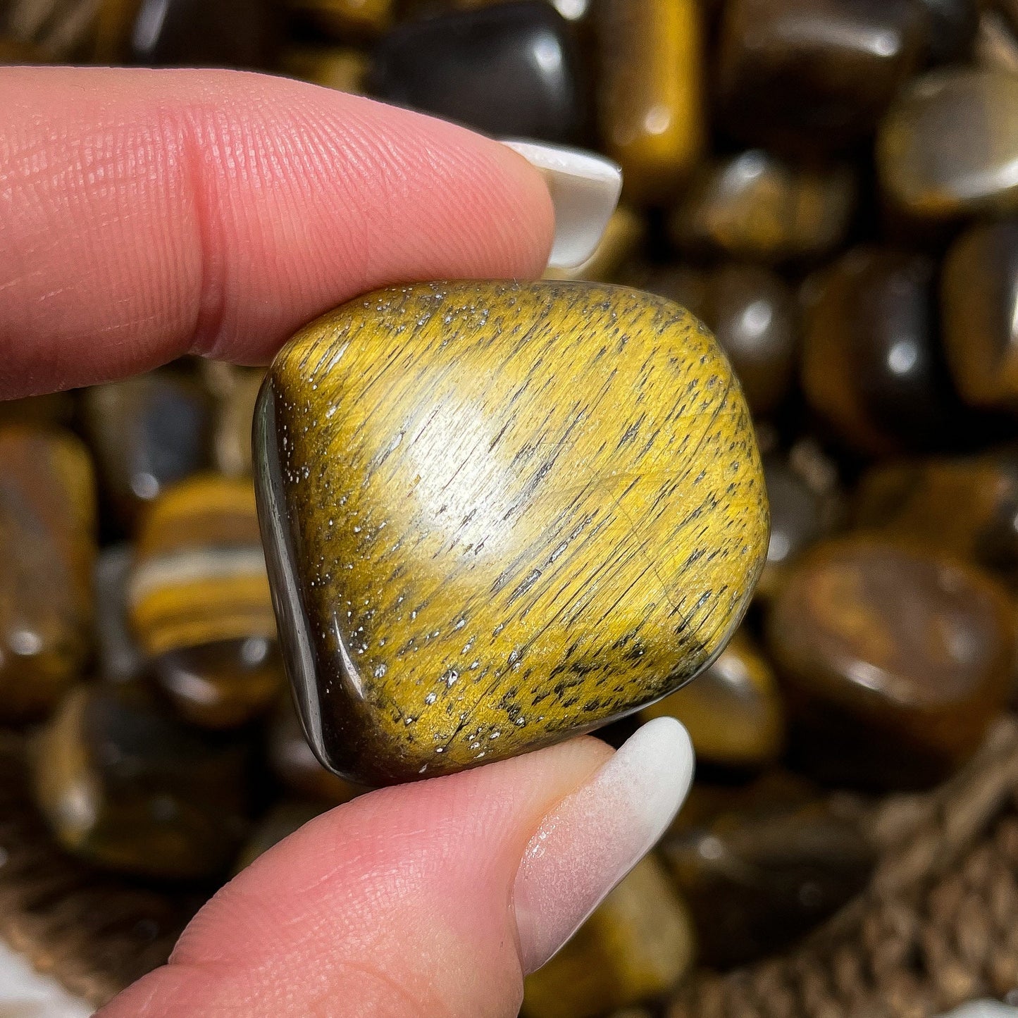 Tigers Eye Tumbles