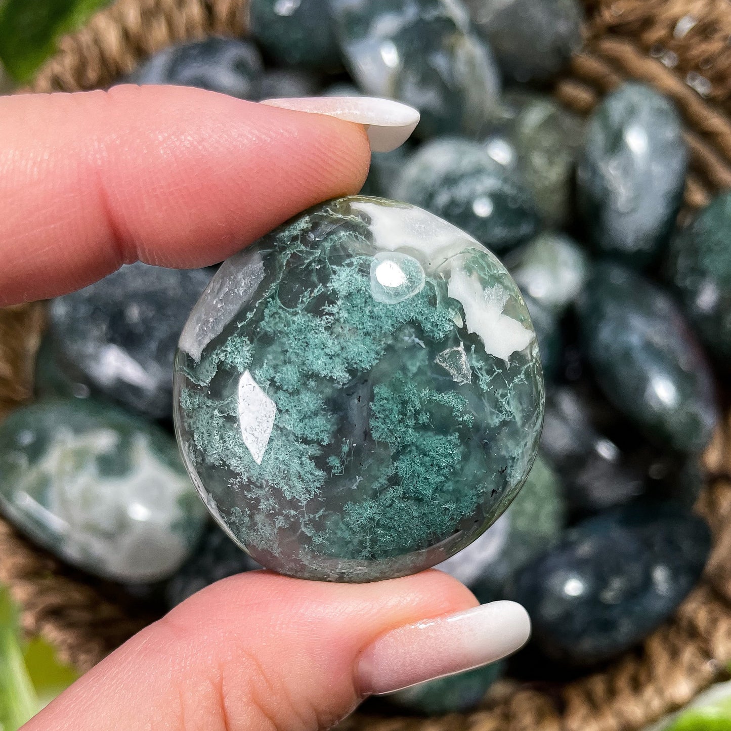 Moss Agate Tumbles