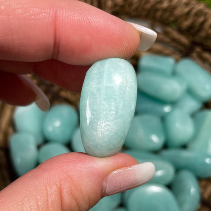 Gem Grade Amazonite Tumbles