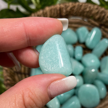 Gem Grade Amazonite Tumbles