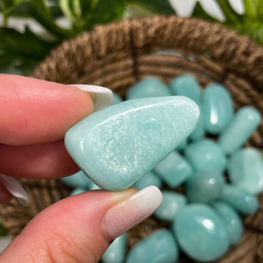 Gem Grade Amazonite Tumbles