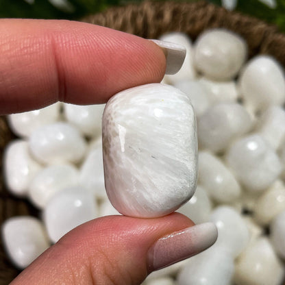 Scolecite Tumbles