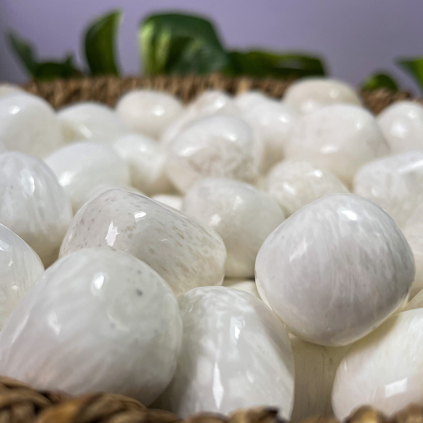 Scolecite Tumbles