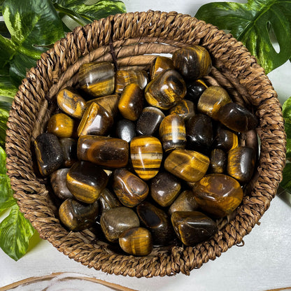 Tigers Eye Tumbles