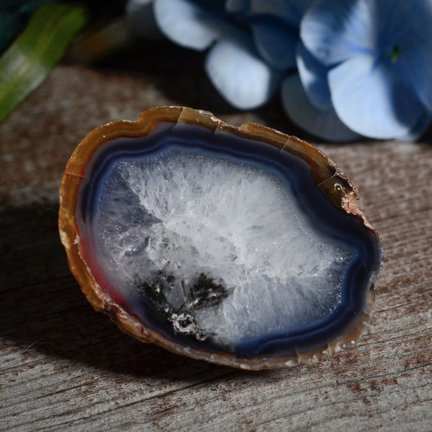 Mexican Laguna Agate