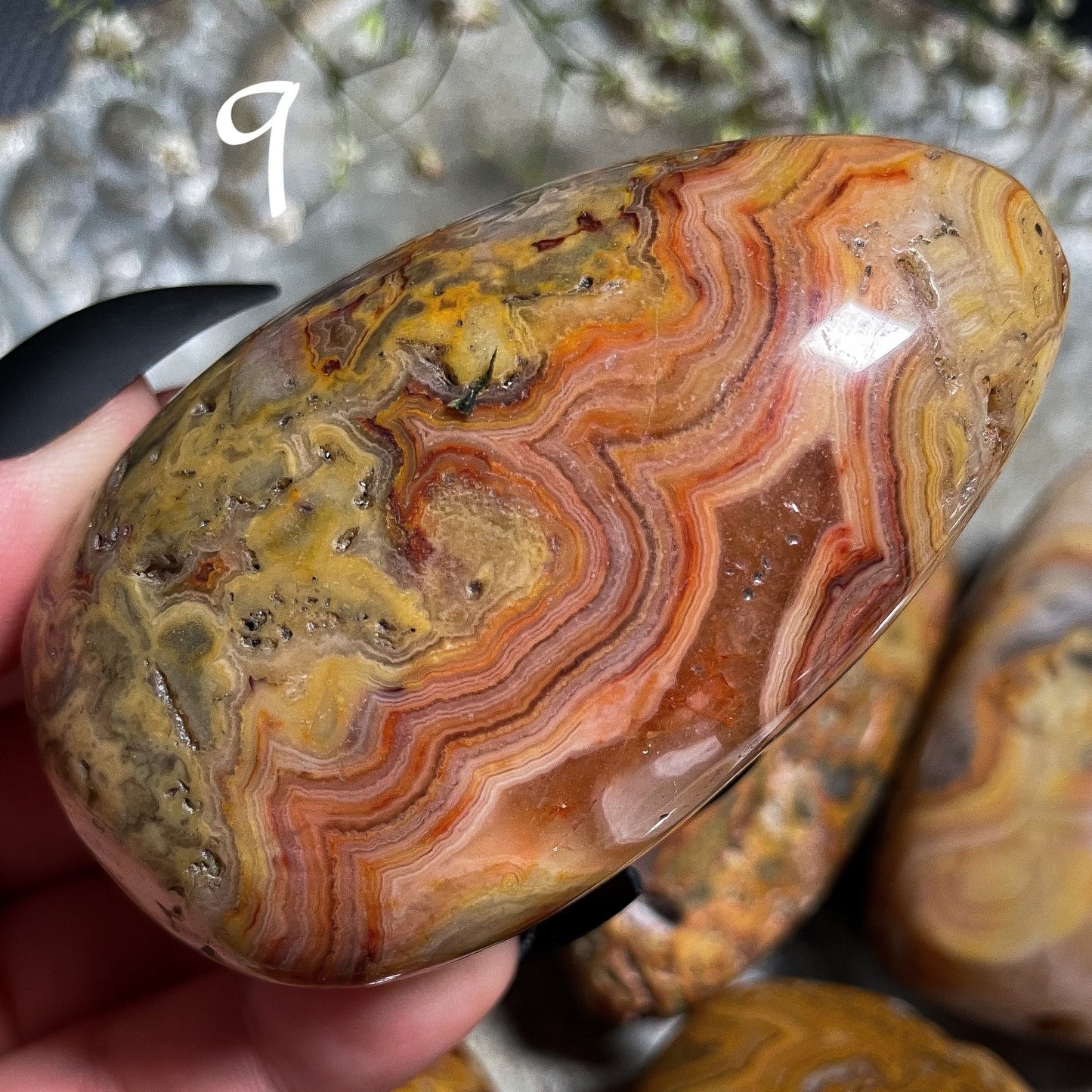 Crazy Lace Agate Palm Stone