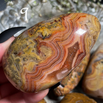 Crazy Lace Agate Palm Stone