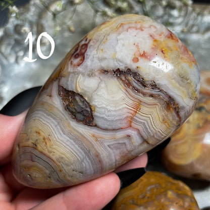 Crazy Lace Agate Palm Stone