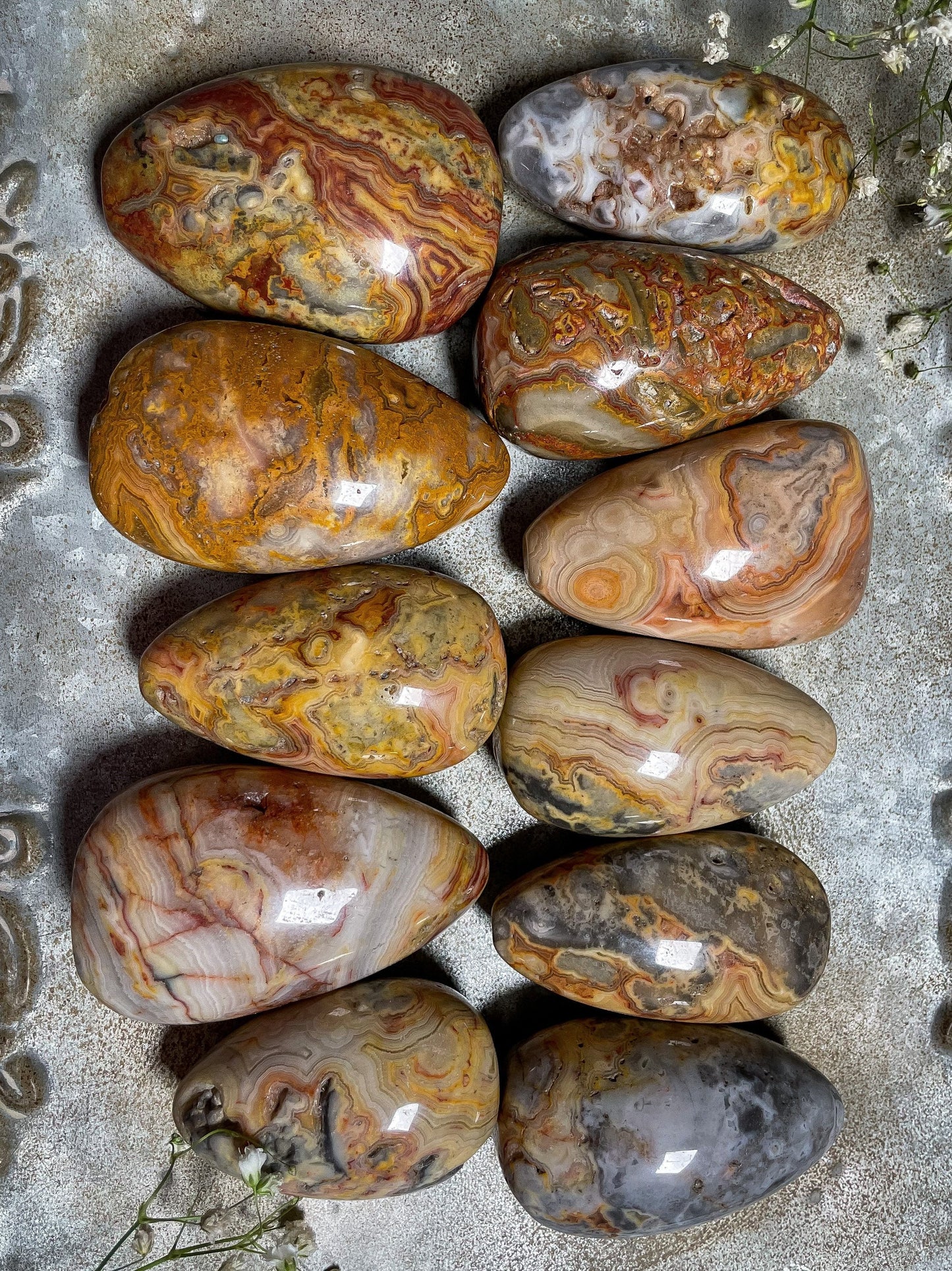 Crazy Lace Agate Palm Stone