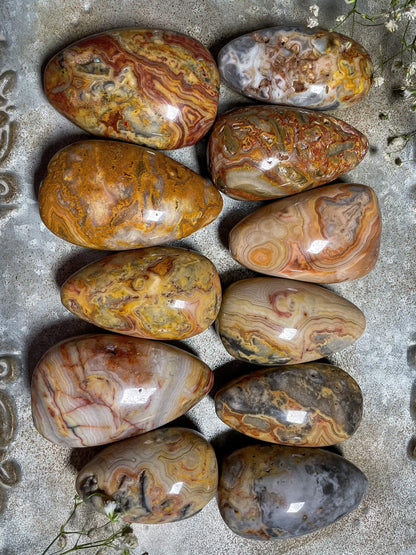 Crazy Lace Agate Palm Stone