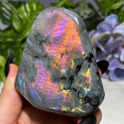 Purple Rainbow Labradorite