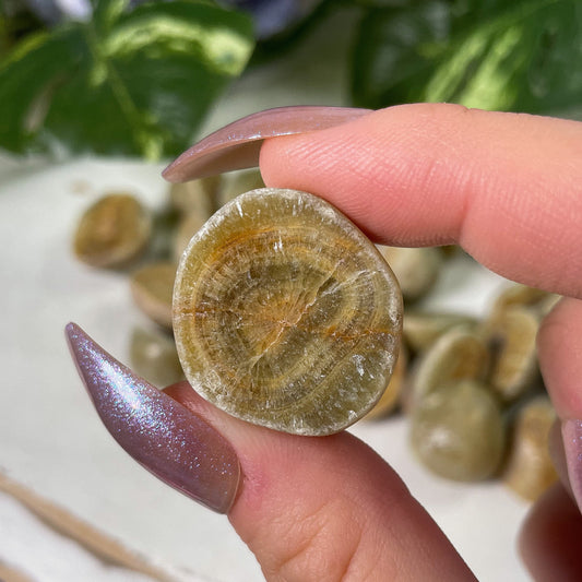 Green Dolomite Tumbles