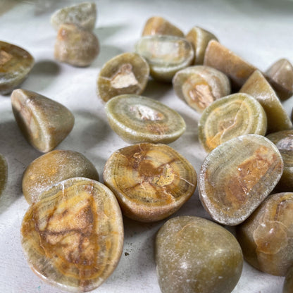 Green Dolomite Tumbles