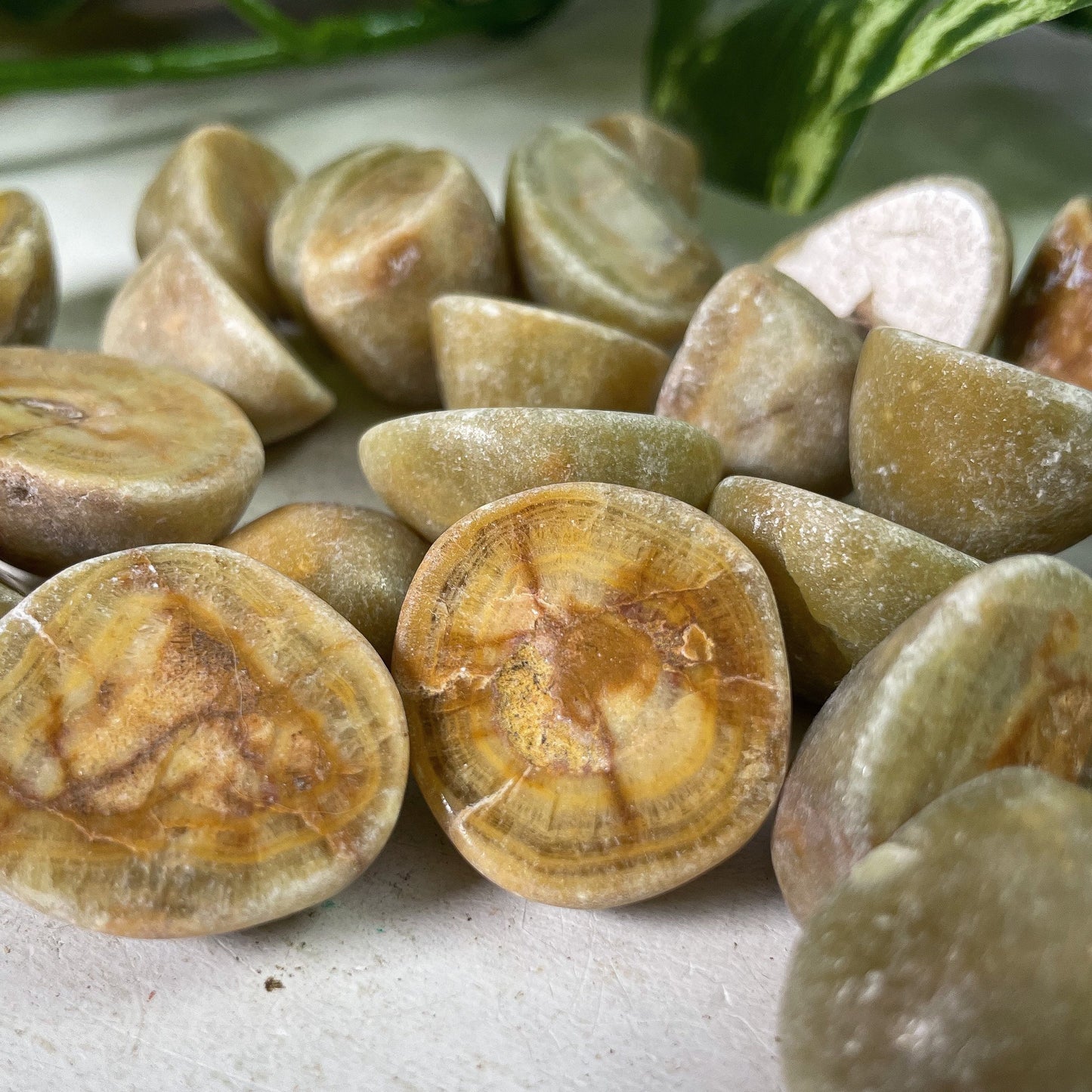 Green Dolomite Tumbles