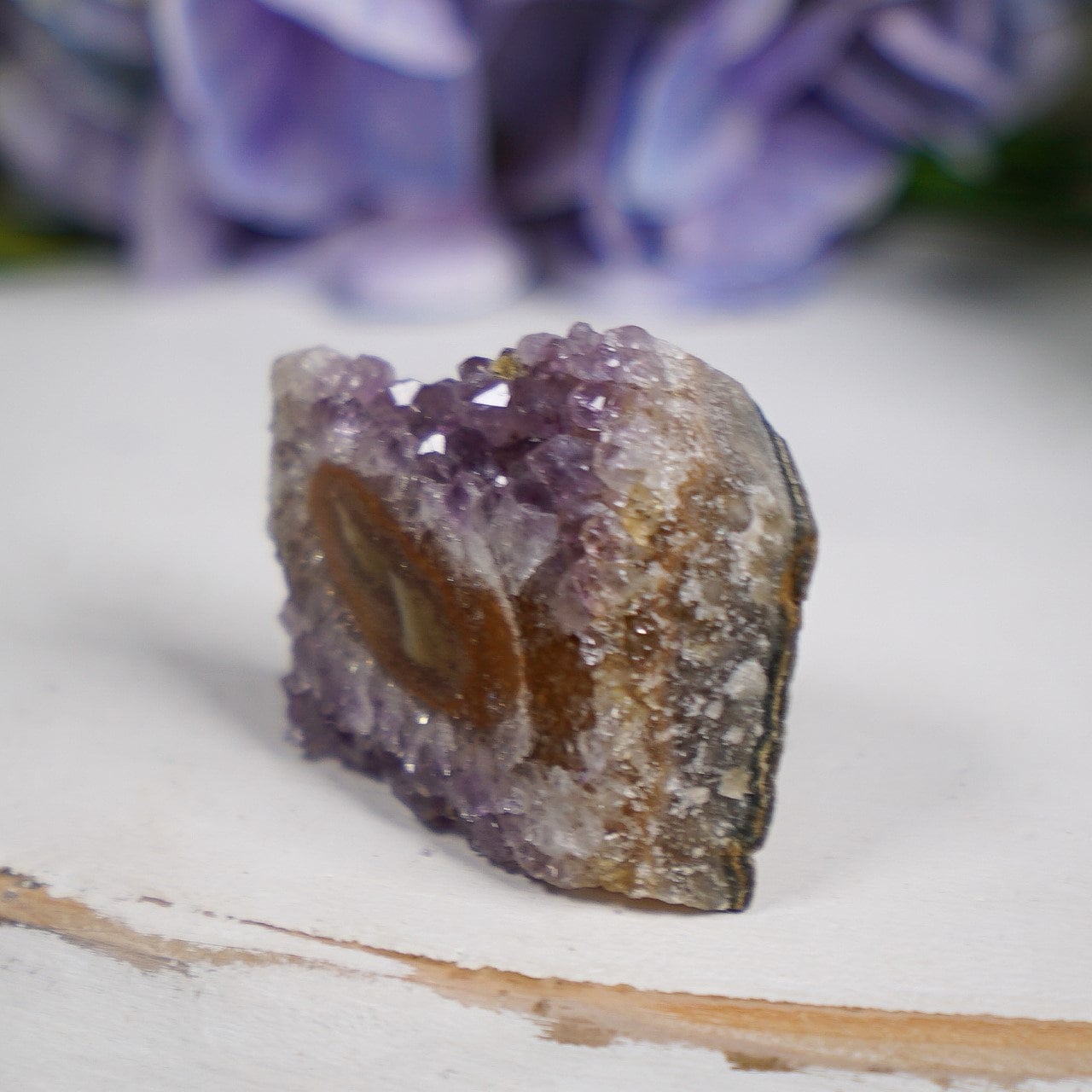 Purple Sepia Amethyst Eye