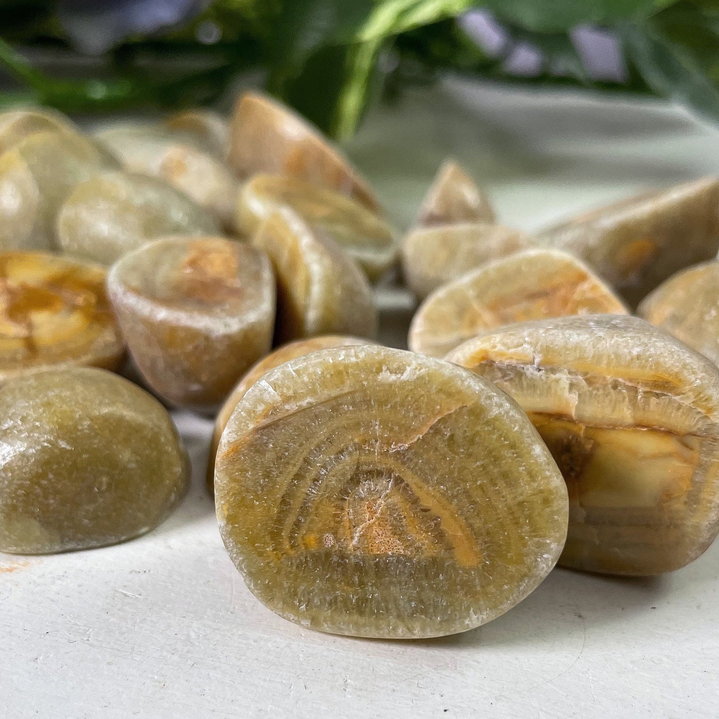 Green Dolomite Tumbles
