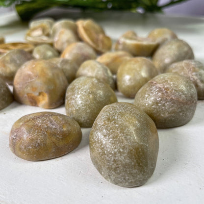 Green Dolomite Tumbles