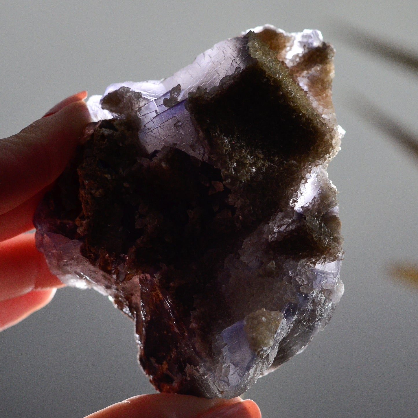 Raw Druzy Gray Blue Cubic Fluorite Cluster