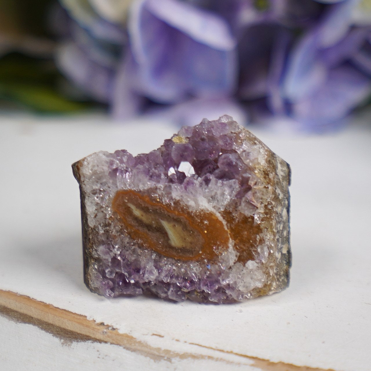 Purple Sepia Amethyst Eye