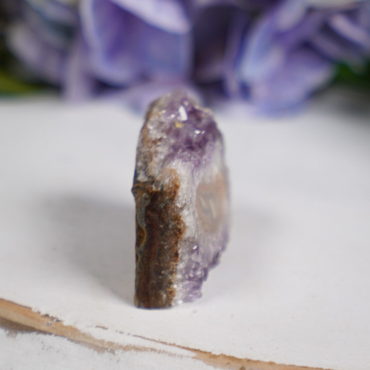 Purple Sepia Amethyst Eye