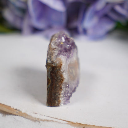 Purple Sepia Amethyst Eye