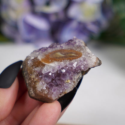 Purple Sepia Amethyst Eye