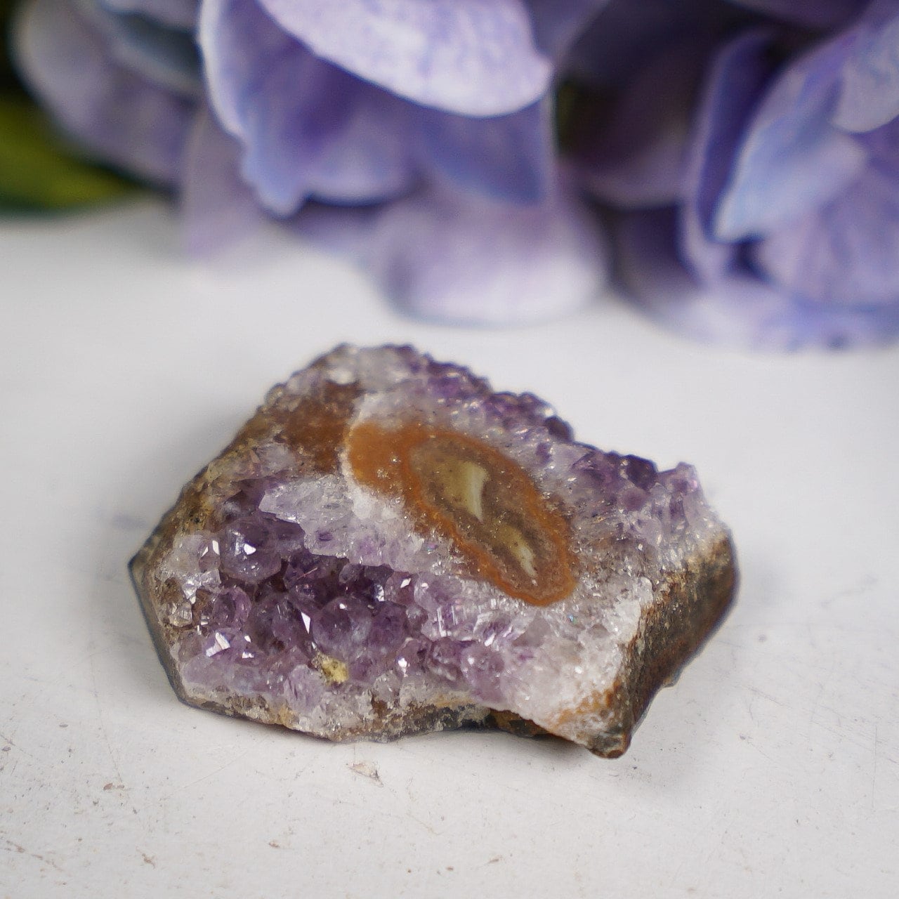 Purple Sepia Amethyst Eye