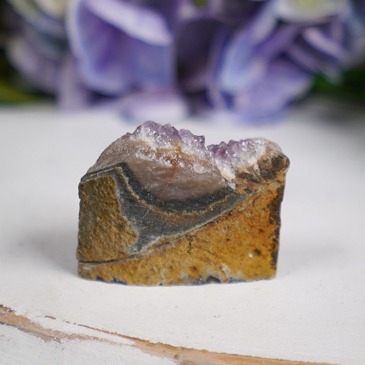 Purple Sepia Amethyst Eye