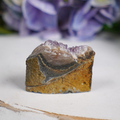 Purple Sepia Amethyst Eye